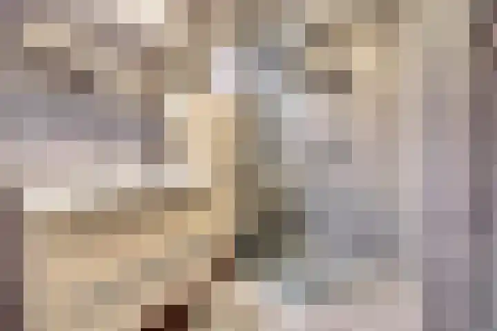 De Klok 2 Vlijmen thumbnail 17
