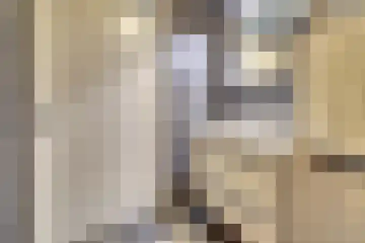 De Klok 2 Vlijmen thumbnail 18