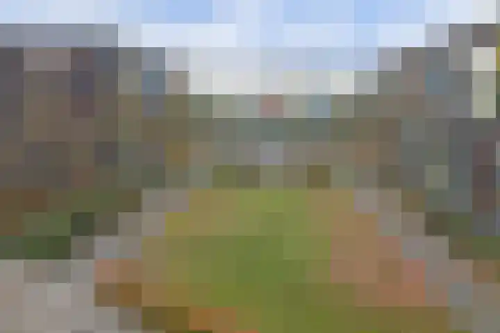 De Klok 2 Vlijmen thumbnail 27