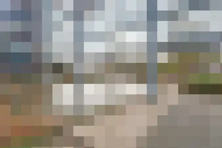 De Klok 2 Vlijmen thumbnail 28