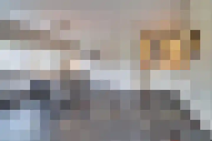 De Klok 2 Vlijmen thumbnail 6