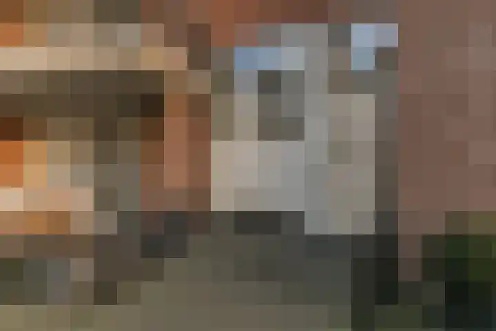 De Klok 207 Rijnsburg thumbnail 24