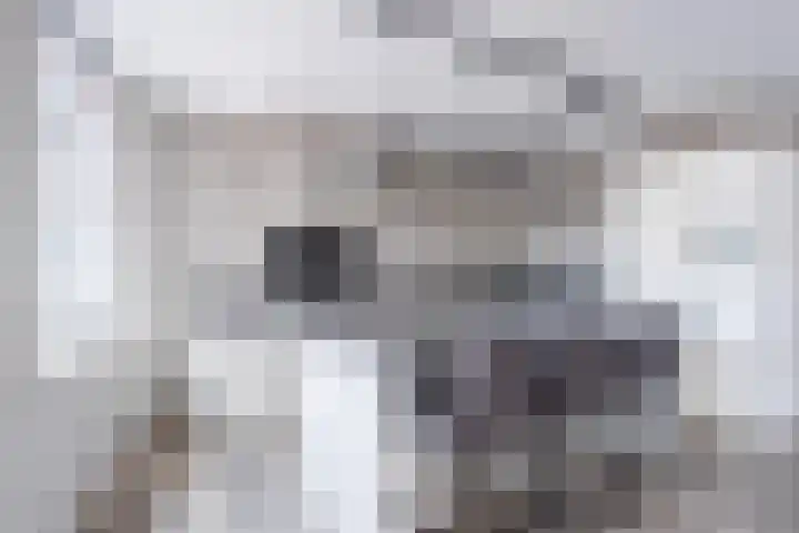 De Klok 224 Rijnsburg thumbnail 16