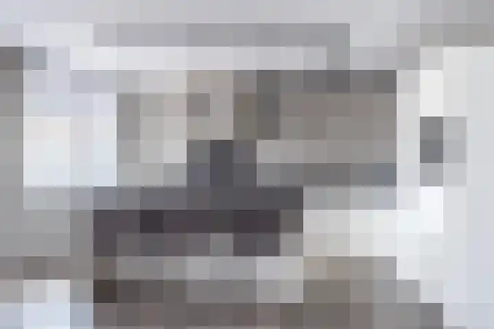 De Klok 224 Rijnsburg thumbnail 17