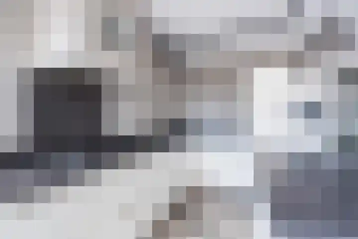 De Klok 224 Rijnsburg thumbnail 18