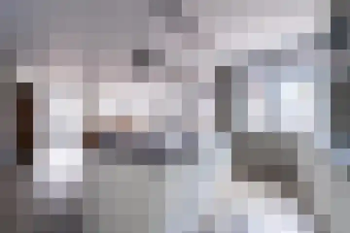 De Klok 224 Rijnsburg thumbnail 20