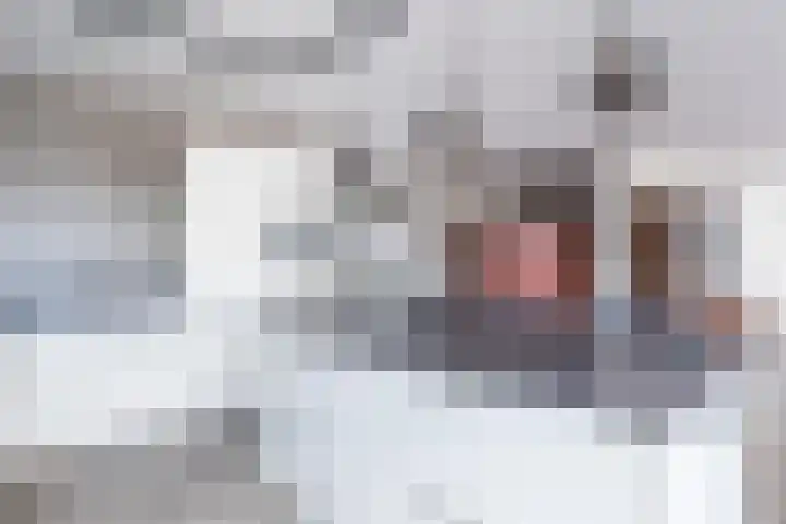 De Klok 224 Rijnsburg thumbnail 21