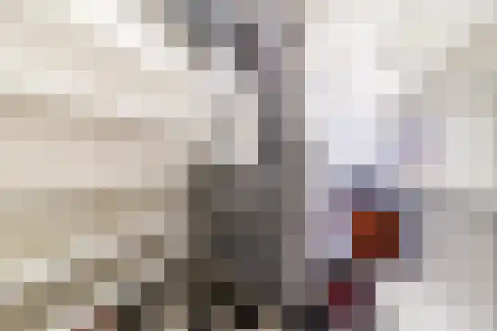 De Klok 224 Rijnsburg thumbnail 38