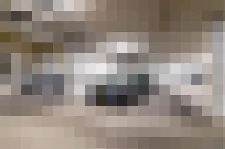 De Klok 224 Rijnsburg thumbnail 42