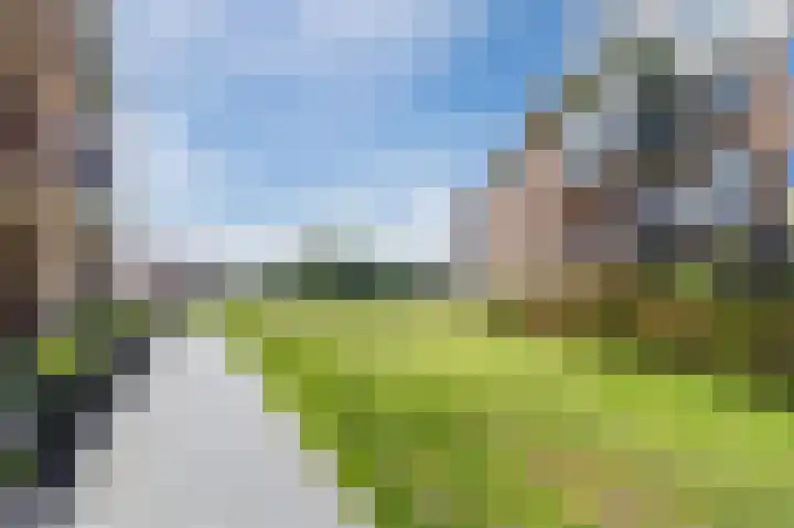 De Klok 224 Rijnsburg thumbnail 45