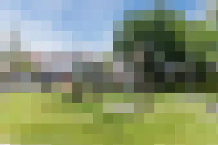 De Klok 224 Rijnsburg thumbnail 46