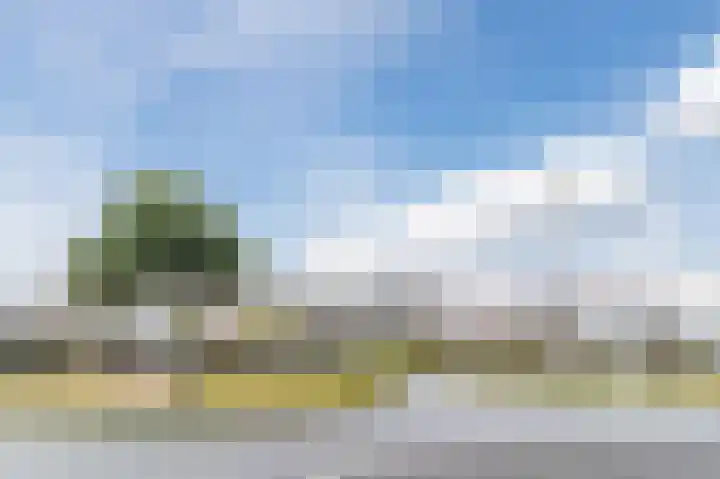 De Klok 224 Rijnsburg thumbnail 47