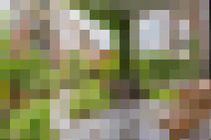 De Klok 301 Rijnsburg thumbnail 18