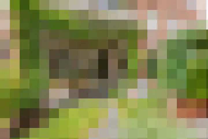 De Klok 301 Rijnsburg thumbnail 19