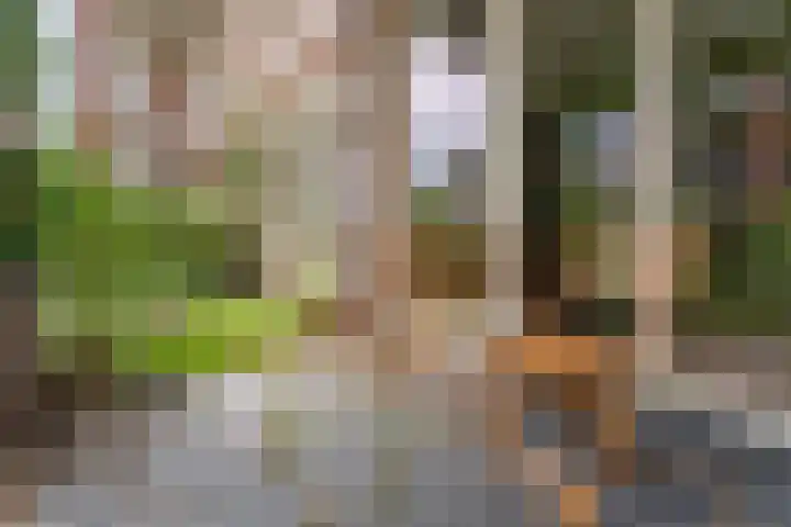 De Klok 301 Rijnsburg thumbnail 20
