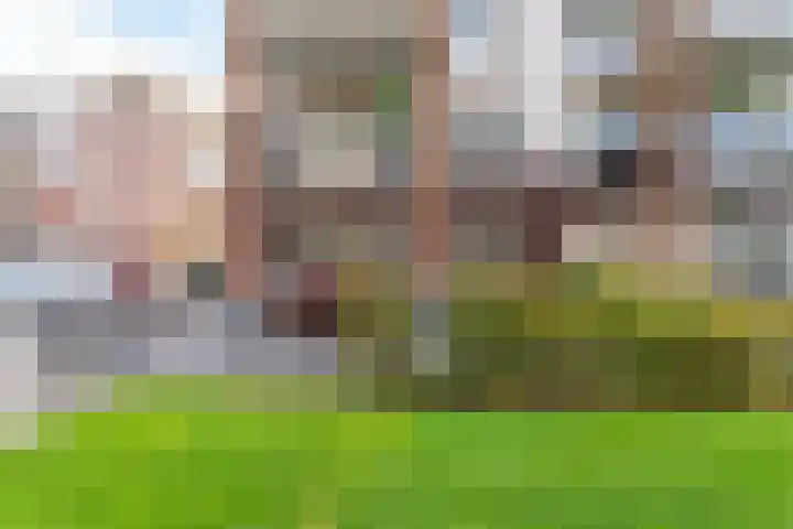 De Klok 309 Rijnsburg thumbnail 19