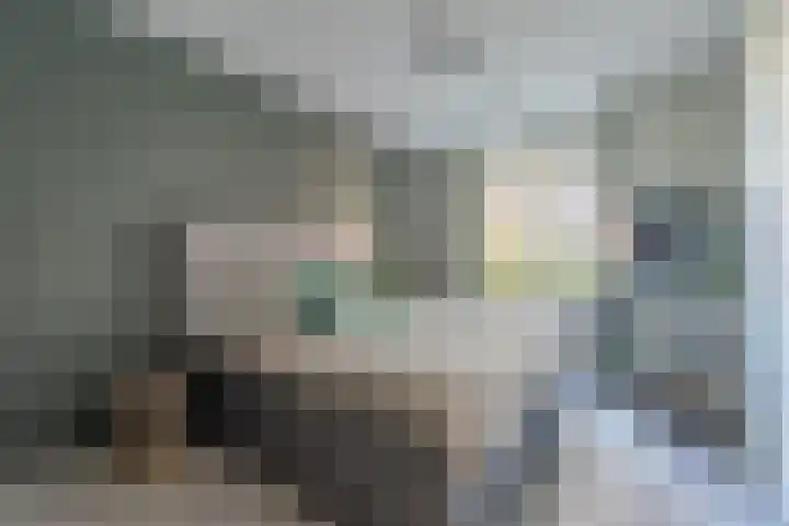 De Klok 309 Rijnsburg thumbnail 8