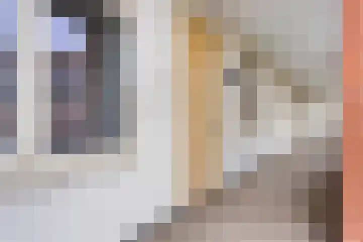 De Klok 322 Rijnsburg thumbnail 10