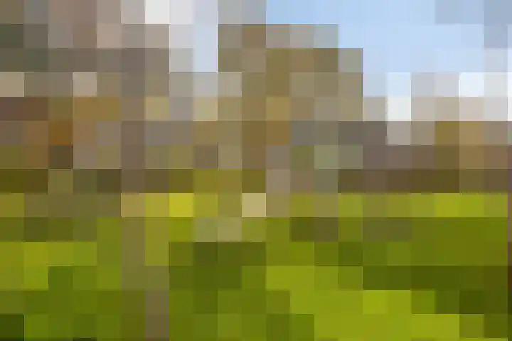 De Klok 322 Rijnsburg thumbnail 26