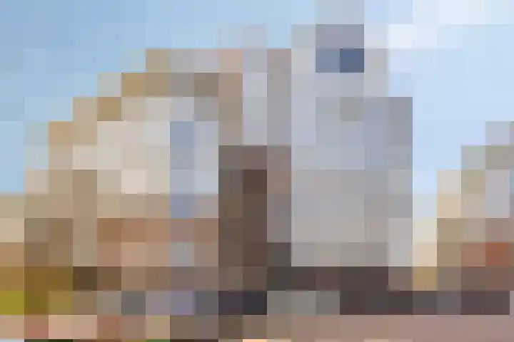 De Klok 322 Rijnsburg thumbnail 6