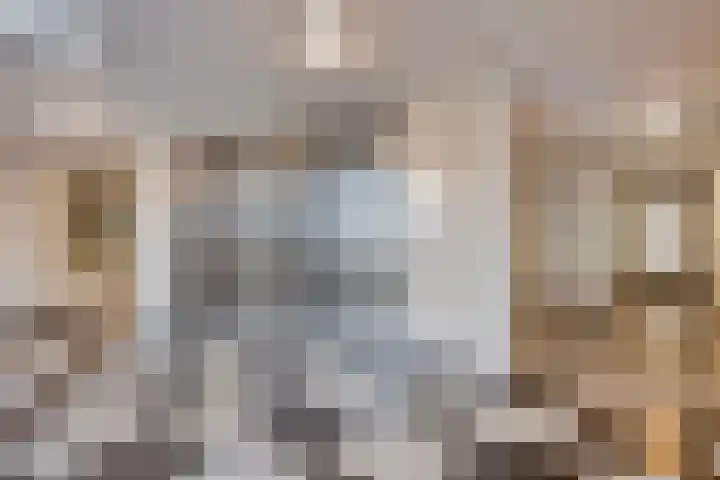 De Klok 322 Rijnsburg thumbnail 8