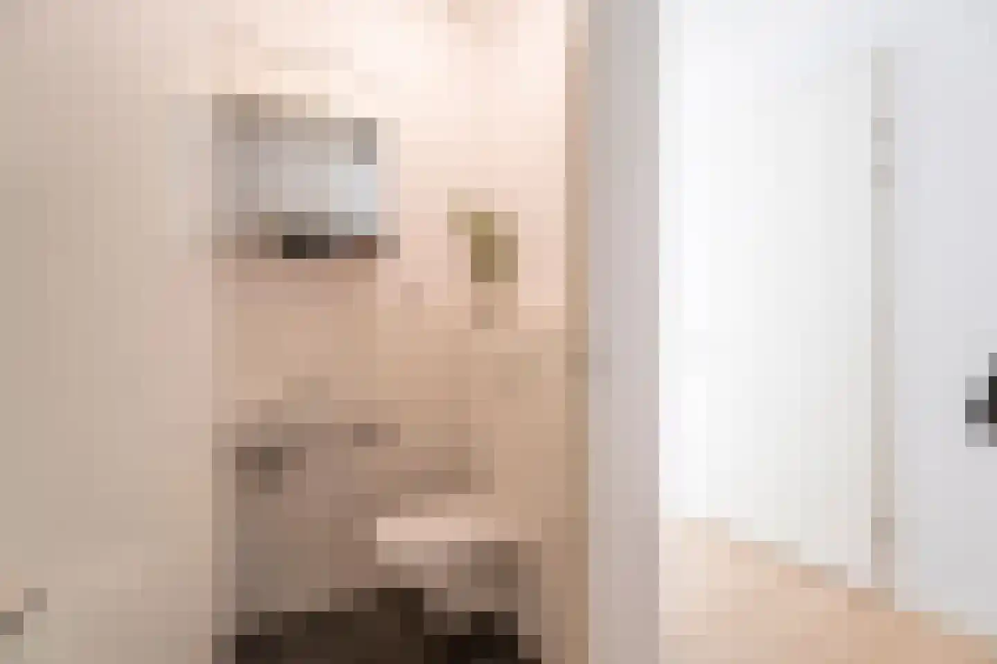 De Klok 333 Rijnsburg thumbnail 37