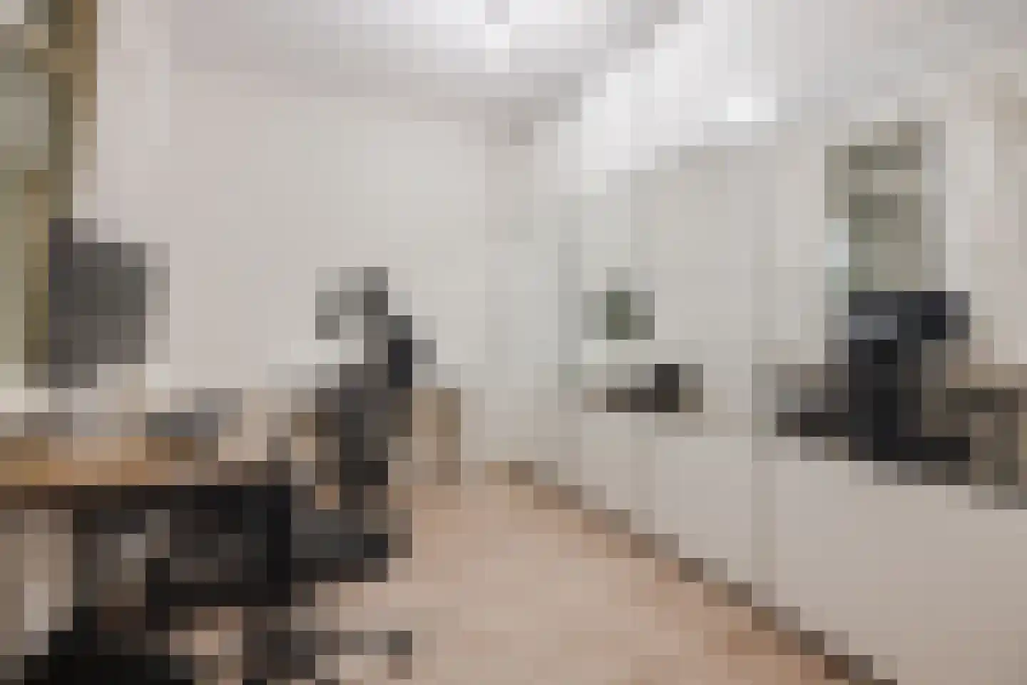 De Klok 352 Rijnsburg thumbnail 25