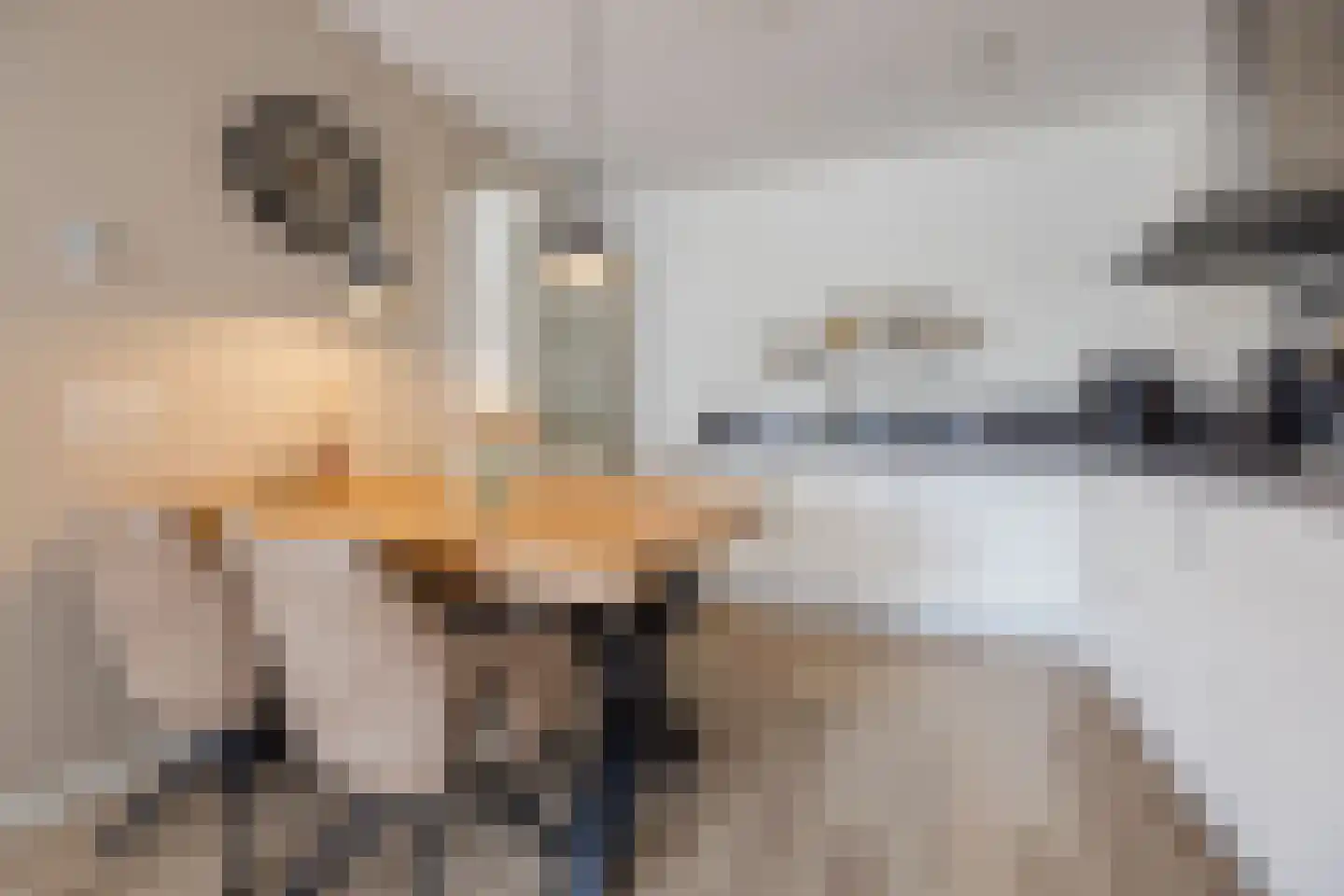 De Klok 352 Rijnsburg thumbnail 4