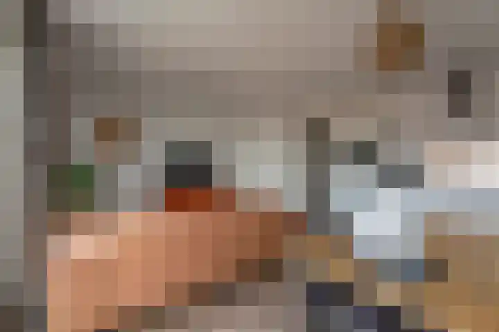 De Klok 355 Rijnsburg thumbnail 10