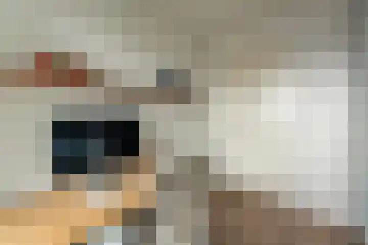De Klok 355 Rijnsburg thumbnail 14
