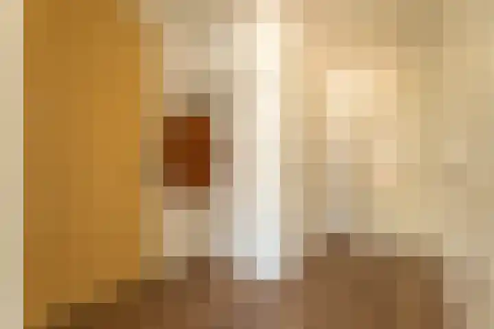 De Klok 355 Rijnsburg thumbnail 18