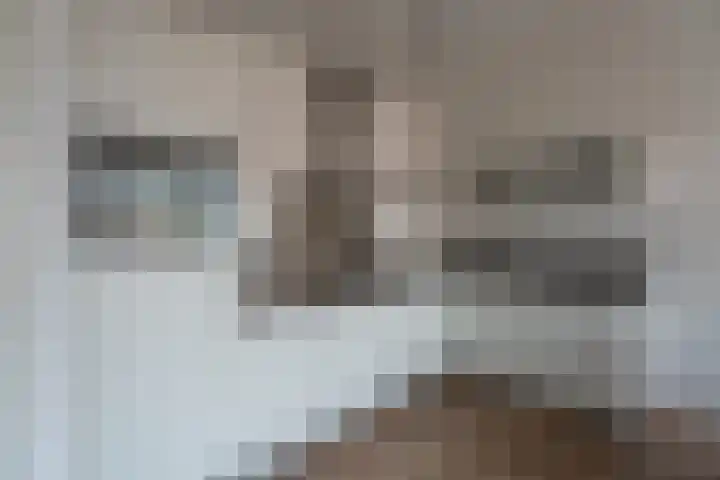 De Klok 355 Rijnsburg thumbnail 6