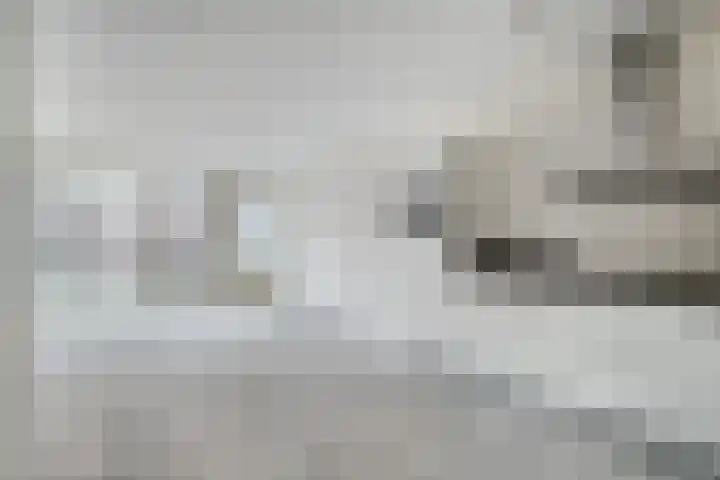 De Klok 373 Rijnsburg thumbnail 15