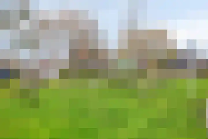 De Klok 373 Rijnsburg thumbnail 28