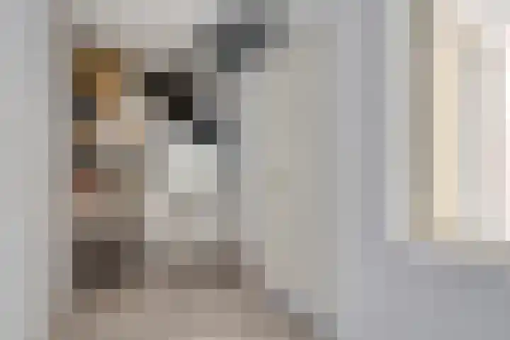 De Klok 378 Rijnsburg thumbnail 25