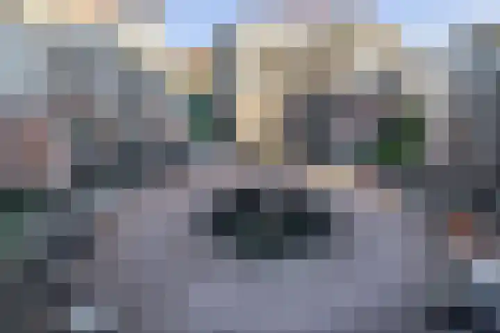 De Klok 378 Rijnsburg thumbnail 31