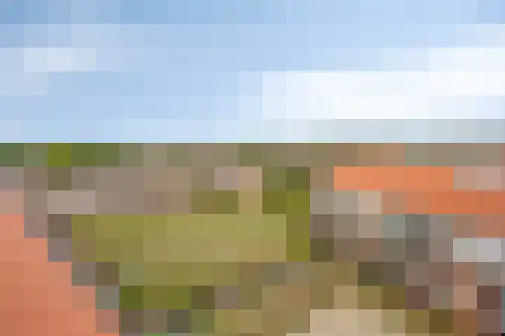 De Klok 378 Rijnsburg thumbnail 32