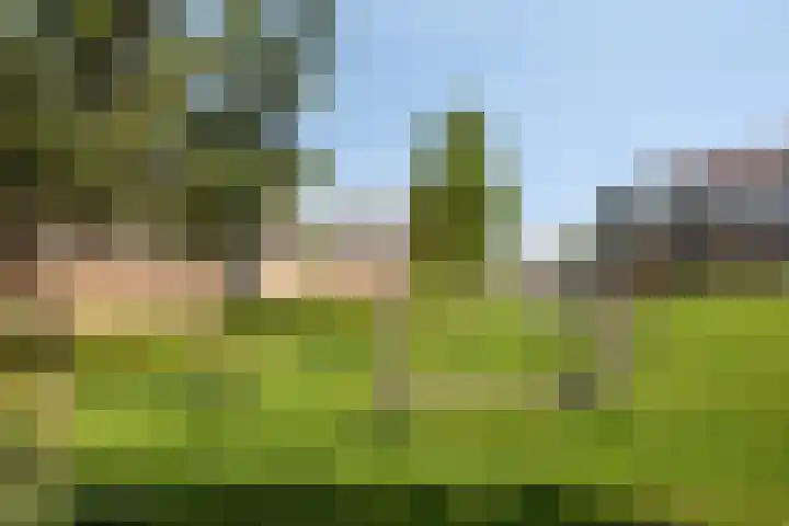 De Klok 378 Rijnsburg thumbnail 33