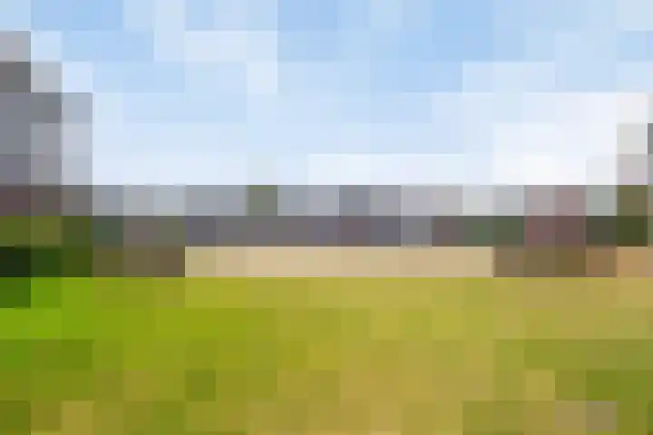 De Klok 378 Rijnsburg thumbnail 34