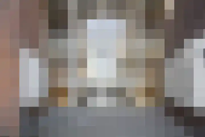 De Klok 378 Rijnsburg thumbnail 6