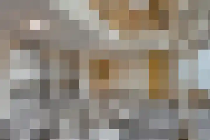 De Klok 378 Rijnsburg thumbnail 7