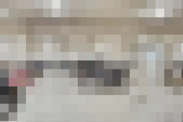 De Klok 381 Rijnsburg thumbnail 36