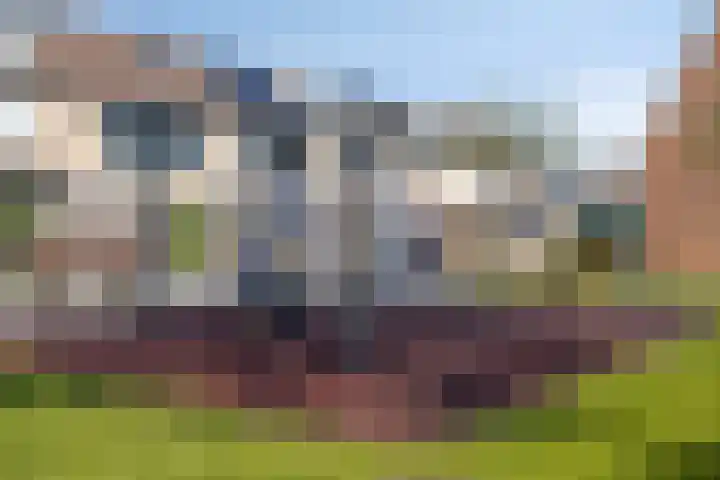 De Klok 381 Rijnsburg thumbnail 37