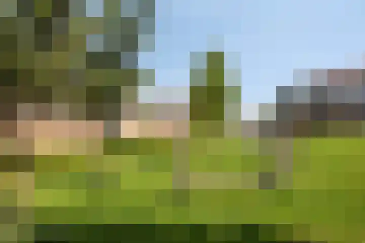 De Klok 381 Rijnsburg thumbnail 38