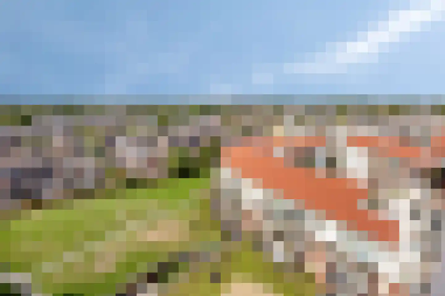 De Klok 384 Rijnsburg thumbnail 37