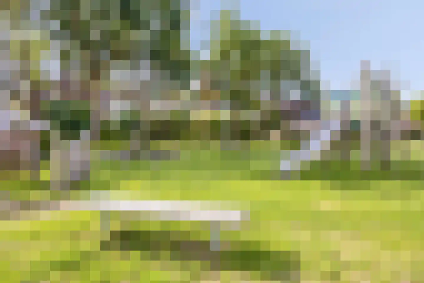 De Klok 384 Rijnsburg thumbnail 42