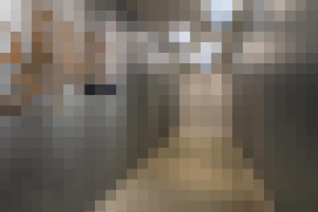 De Klok 503 Rijnsburg thumbnail 34