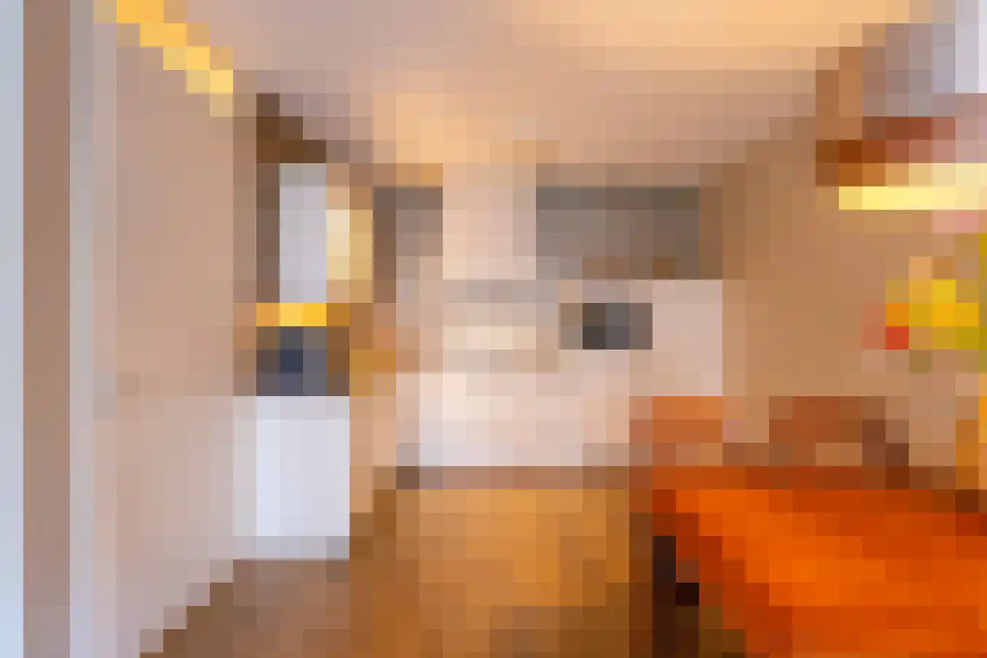 De Klok 503 Rijnsburg thumbnail 6