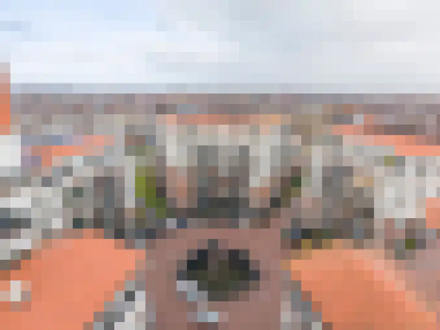 De Klok 510 Rijnsburg thumbnail 31