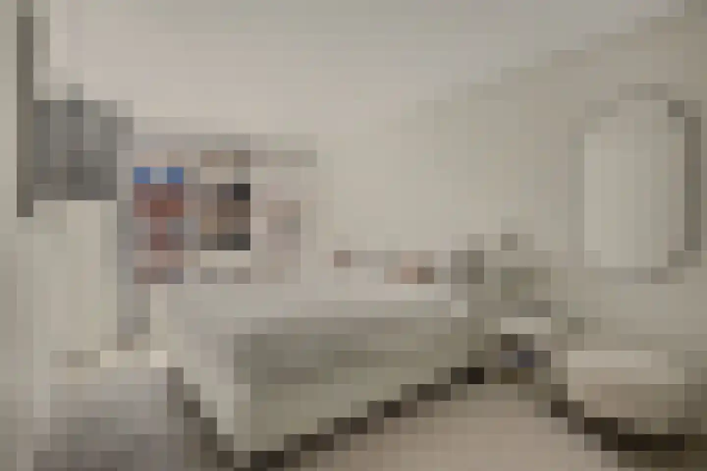 De Klok 526 Rijnsburg thumbnail 25